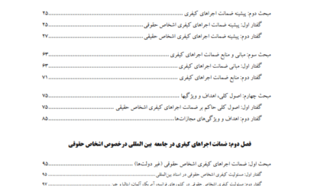 ضمانت اجراهای کیفری در جامعه بین‌المللی  299 صفحه