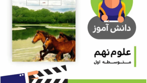 آموزش درس جانوران بی مهره کتاب علوم نهم متوسطه به صورت فایل انیمیشن