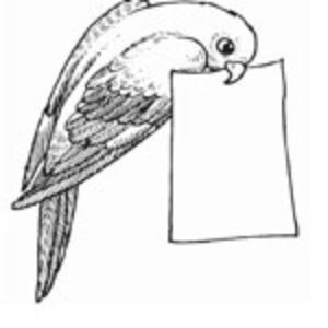 اینفوگراف  زندگی چهارده معصوم (ع)